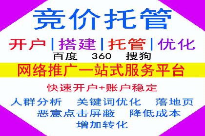 高效百度推广案例解析及优化策略